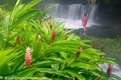 Tabacon Hot Springs, Arenal, Costa Rica.