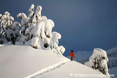 Self portrait, snowshoeing in the Chugach National Forest, Alaska.
