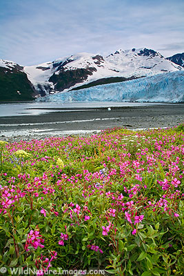 Harriman Glacier, Alaska. Harriman Glacier, Alaska.