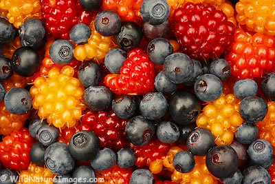 Berries Berries