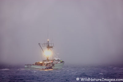 Fishing Boat in a Snowstorm
