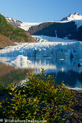 Pedersen Lagoon, Kenai Fjords National Park, Alaska