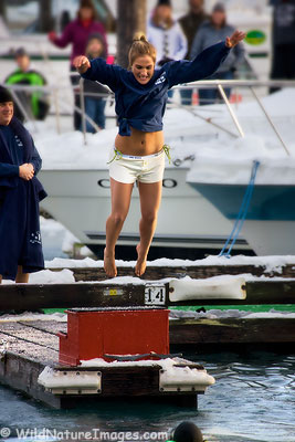 2008 Polar Bear Jump, Seward, Alaska.