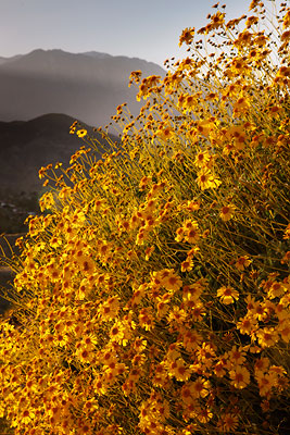 Palm Springs, California