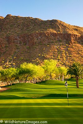 phoenician-golf-camelback-5.jpg