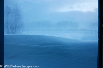 Snow