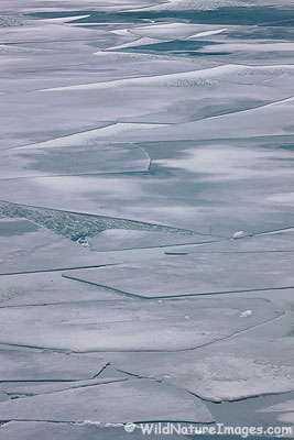 Portage Lake