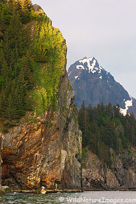 Kenai Coast