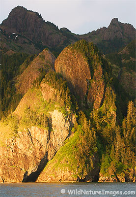 Kenai Coastline