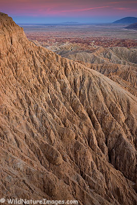Anza-Borrego Photos
