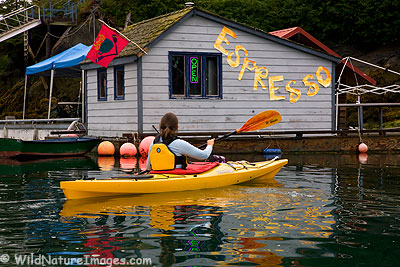Espresso Stand Halibut Cove, Alaska