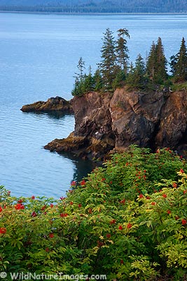 Kachemak Bay, Alaska