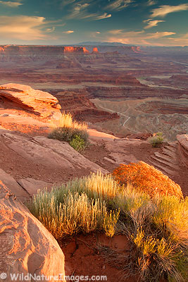 Dead Horse State Park, Utah Dead Horse State Park, Utah