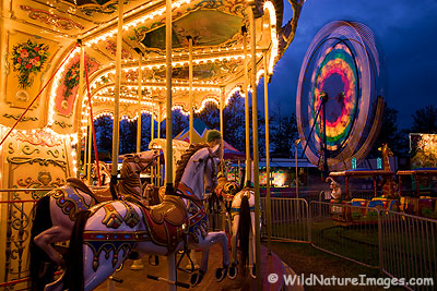 Alaska State Fair