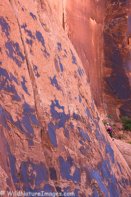 Climbing in Moab. Climbing in Moab.