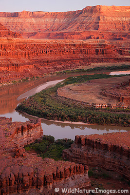 Colorado River Colorado River near Moab, Utah.