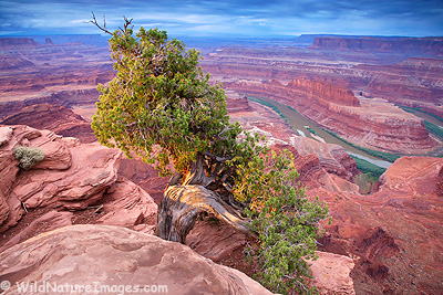 Dead Horse Point, Dead Horse State Park, near Moab, Utah Dead Horse Point, Dead Horse State Park, near Moab, Utah