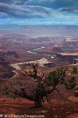 green-river-overlook-canyonlands Green River Overlook, Canyonlands National Park, near Moab, Utah.