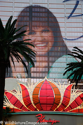 Marie Osmond Marie Osmond