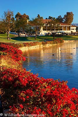 la-quinta-golf-resort La Quinta Golf Resort, near Palm Springs, California.