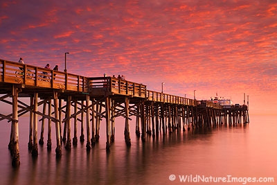 Balboa Pier
