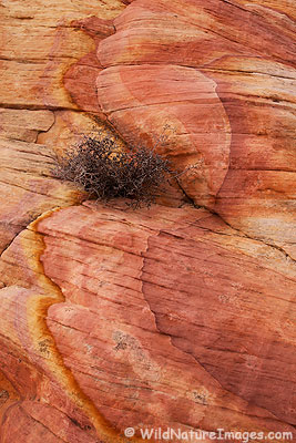 Sand stone patterns, Valley of Fire State Park, Nevada.