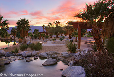 A park in Borrego Springs, California.