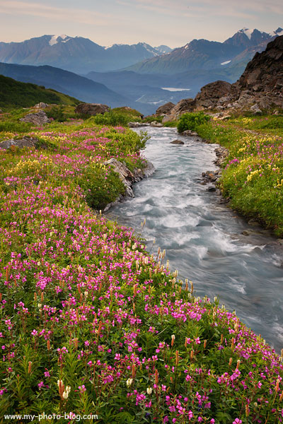Mount Marathon, Seward, Alaska.
