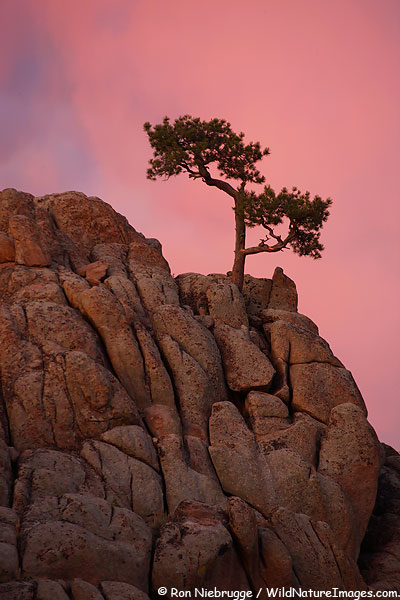 Hartman Rocks, Gunnison, Colorado