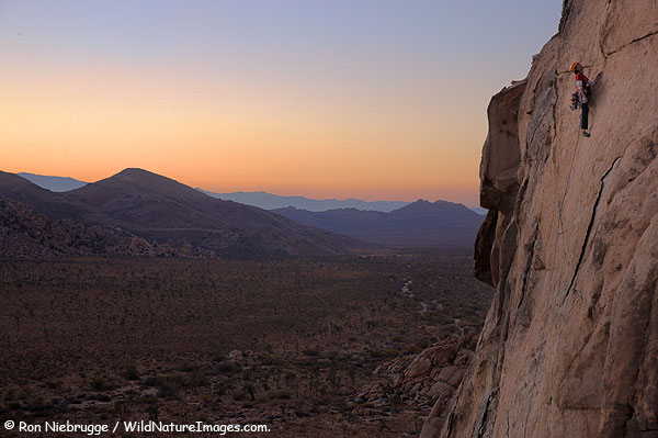 Ernest Sierras climbing in Joshua Tree National Park, California.