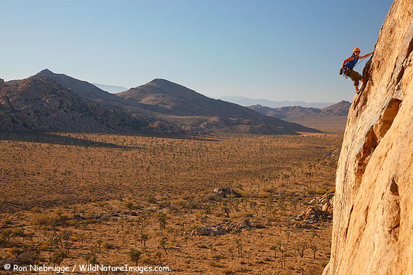 Thomas Vetsch stops near the top of a route in Joshua Tree.