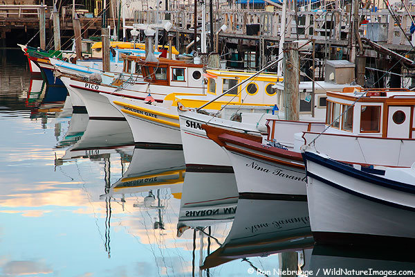 Colorful boats along Fishermans Wharf, San Francisco, California.