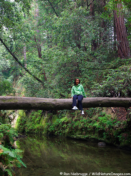 Boom Hales ih the redwoods of Nisene State Park, Aptos, California 