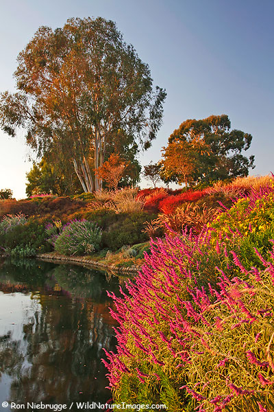 San-Jose, California