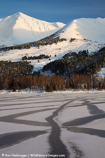 Summit Lake, Chugach National Forest, Kenai Peninsula, Alaska.