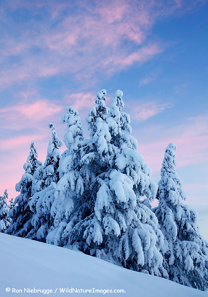 Chugach National Forest, Alaska.