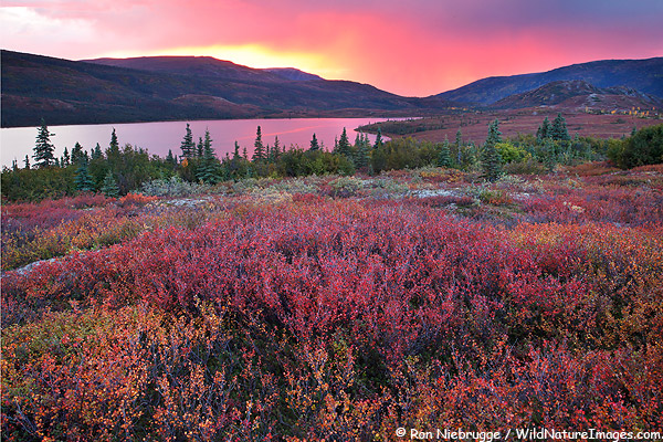 Wonder Lake, Denali National Park, Alaska.