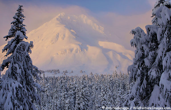 Chugach National Forest, near Seward, Alaska.